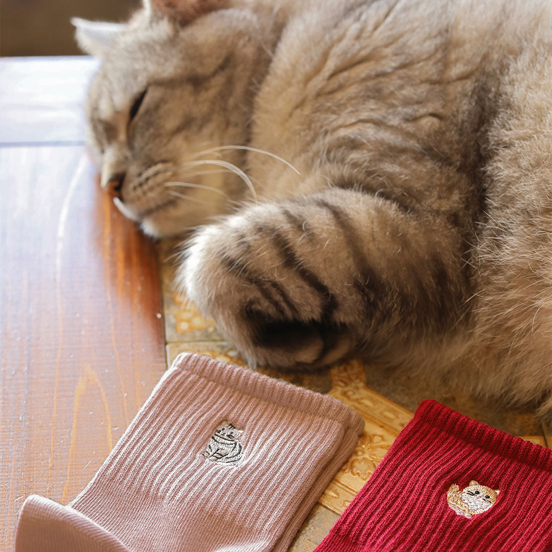 Purr-fectly Cosy: Why Cat Socks Are a Must-Have for Every Feline Fan